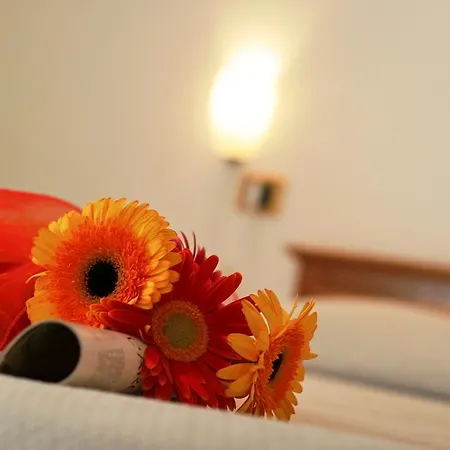 Hotel Joli Park - Caroli